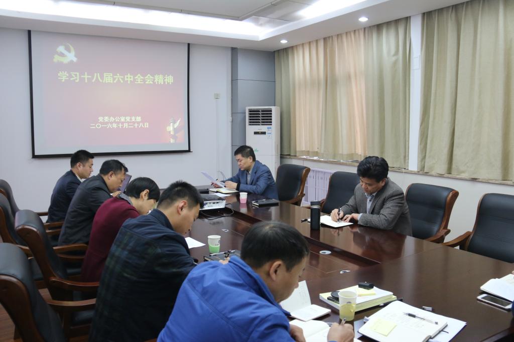 党委办公室党支部组织学习十八届六中全会精神